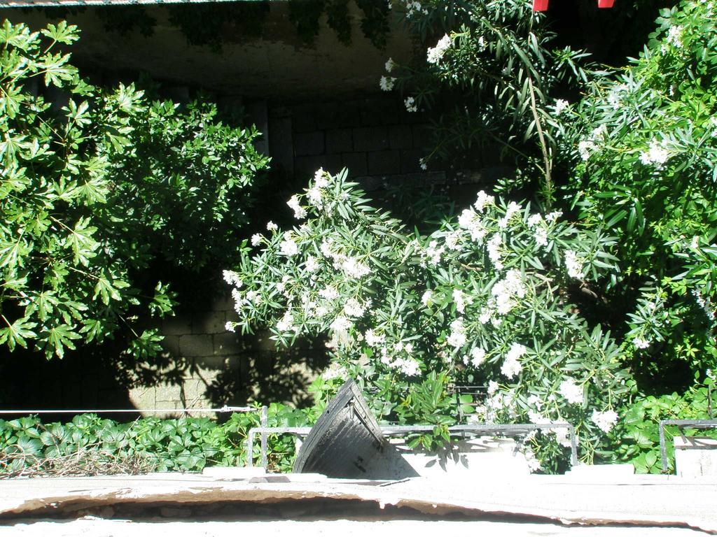Manin Apartment Venesia Ruang foto